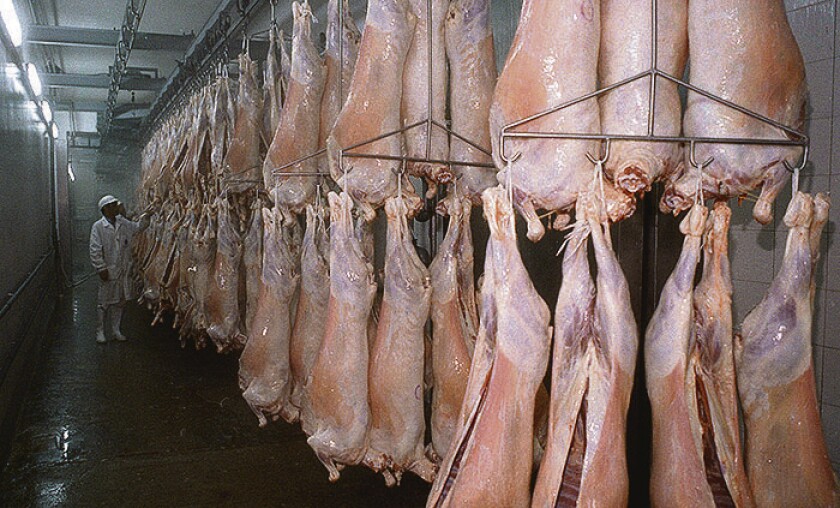 Carne ovina, corderos , ovejas, reses colgadas, foto El Pais frigorifico Las Piedras, hoja 87122, foto Ariel Colmegna, Archivo El País