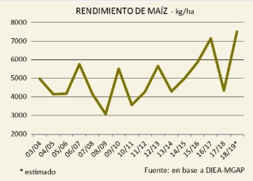 rendimiento-de-maiz.jpg