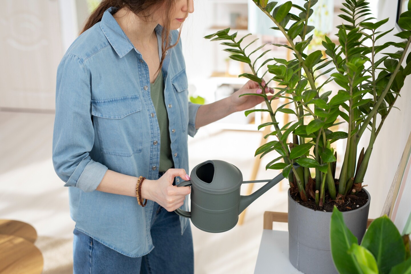 Cuidado de plantas.jpg