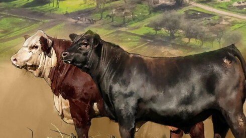 Foto previa de San Gregorio.jpg