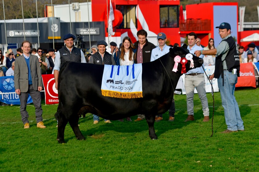 La Reservada Gran Campeona y Reservada Campeona Vaca fue de cabaña “San Quintín”, de José María Bentancur Cortabarría.