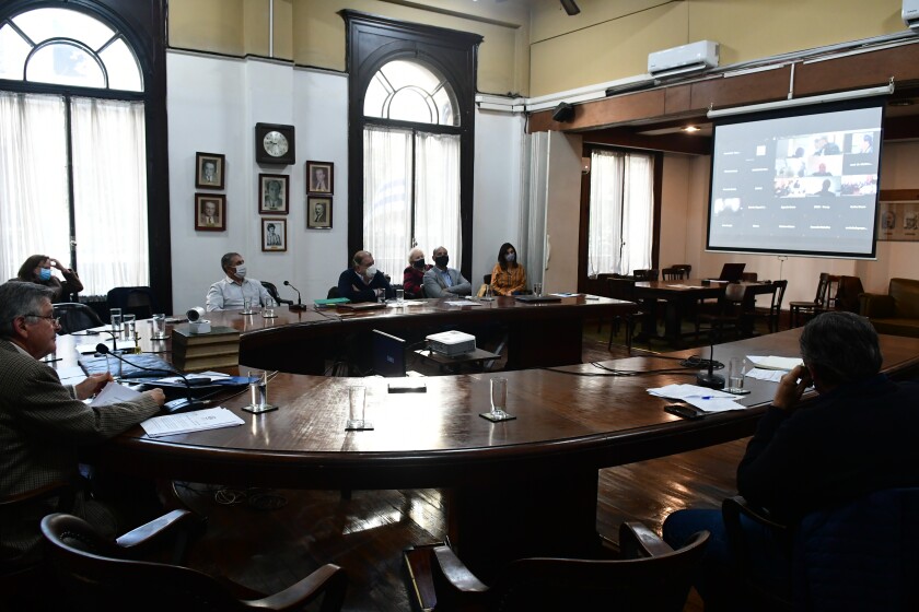 ffl-3313.jpg