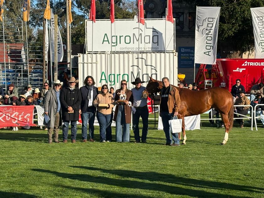 Gran Campeona Paint Expo Prado 2025.
