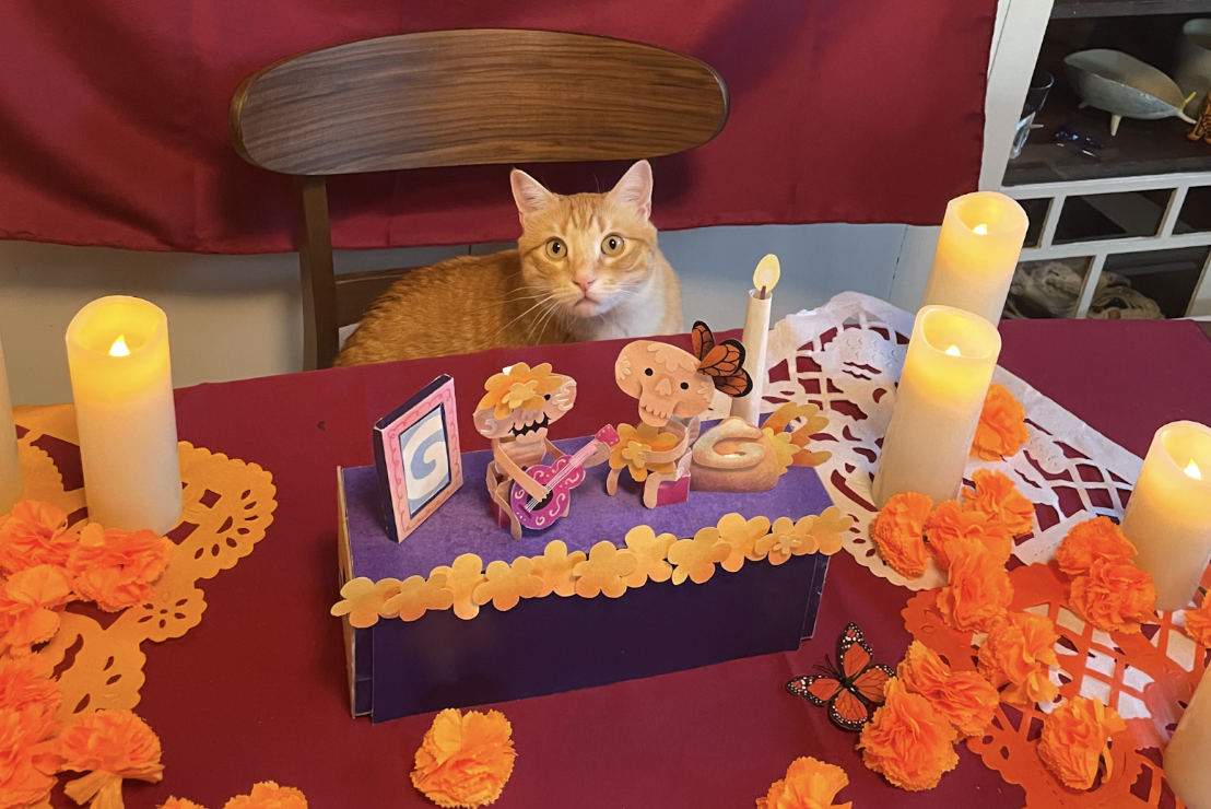 Un gato con el autómata hecho a mano que es el doodle de Google el 1° de noviembre de 2023.