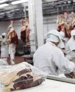 A pesar de los buenos precios que presenta Europa para Argentina, no tracciona en cuanto al volumen que importa..jpg