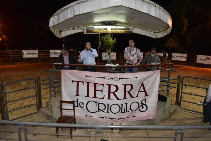 tierra-de-caballos.jpg
