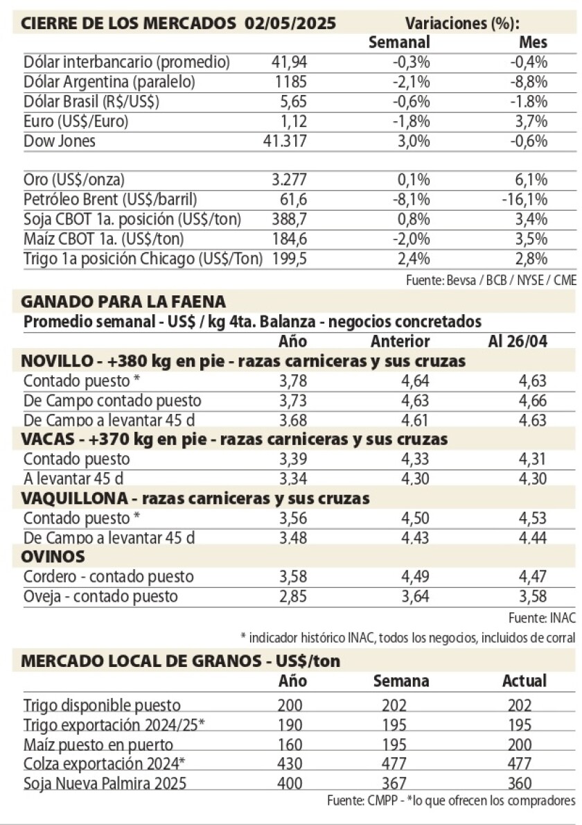 Cuadros NcL.jpg