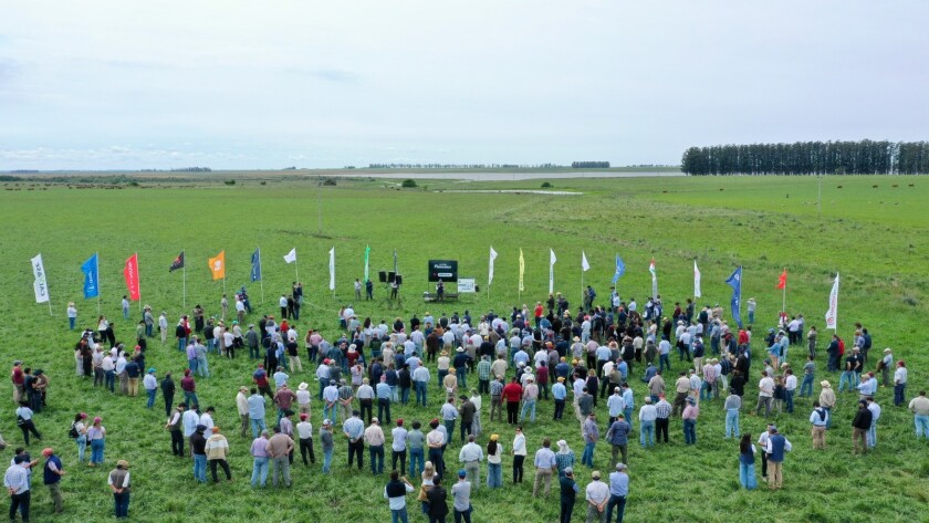 Jornada Calvase 2024