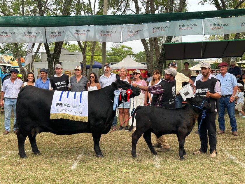 La Gran Campeona fue para San Gregorio Ganadera