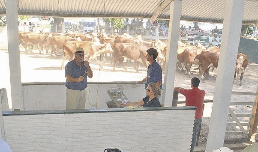 imagen-feria-enero-2019-andrade-rodriguez-ltda-local-durazno-victor-d-rodriguez-7.jpg
