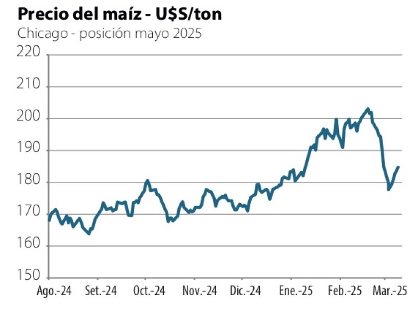 1 Precio del maíz.jpg