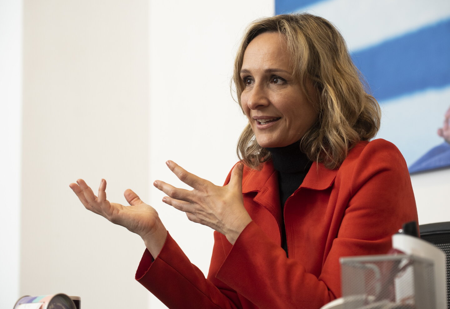 Laura Rafique La estrategia de Laura Raffo para diferenciar su figura del Herrerismo ...