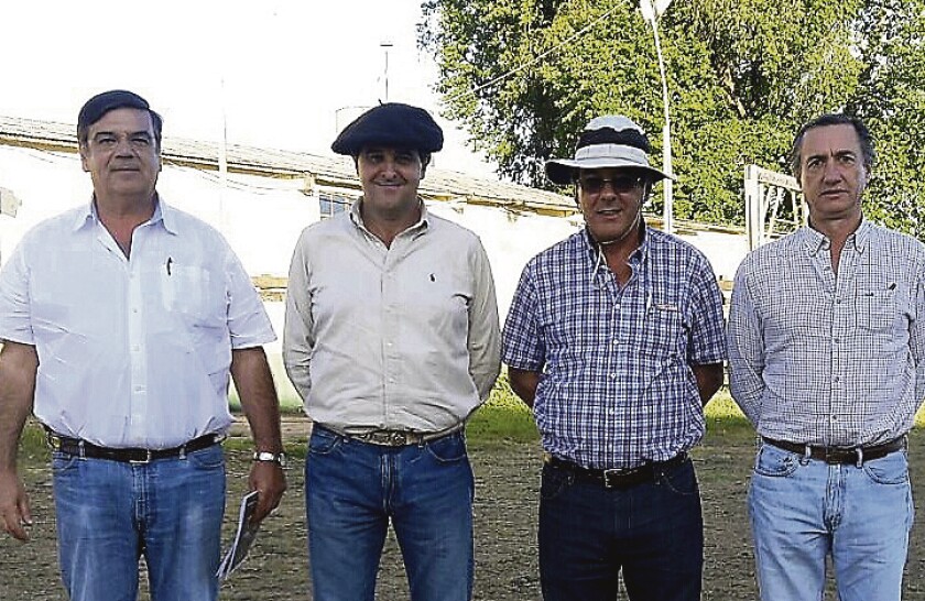 imagen-35b28588-f648-47dc-b40f-dd8f9c931bb6-11908055.jpg