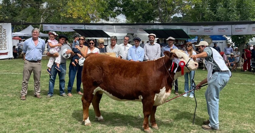 La Gran Campeona Hereford de la Expo Durazno 2024 fue expuesta por Lucía y Juan Manuel Romero Figari, cabaña Las Marías.