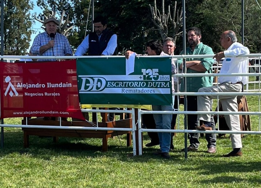 Remate Iguarán.jpg