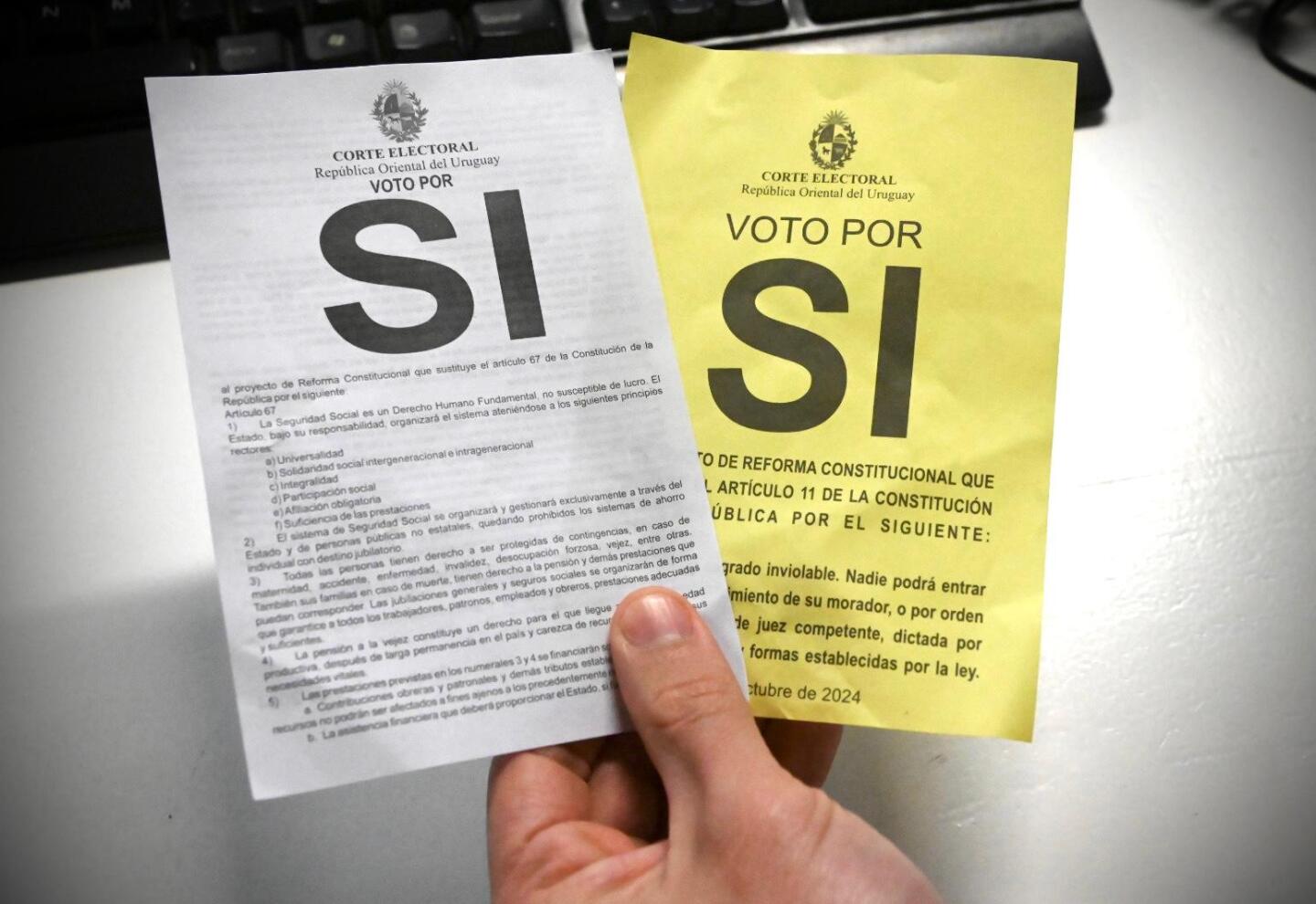 Papeletas de plebiscitos por la seguridad social y por los allanamientos nocturnos.