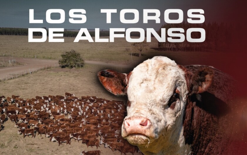 Previa Las Anitas.jpg