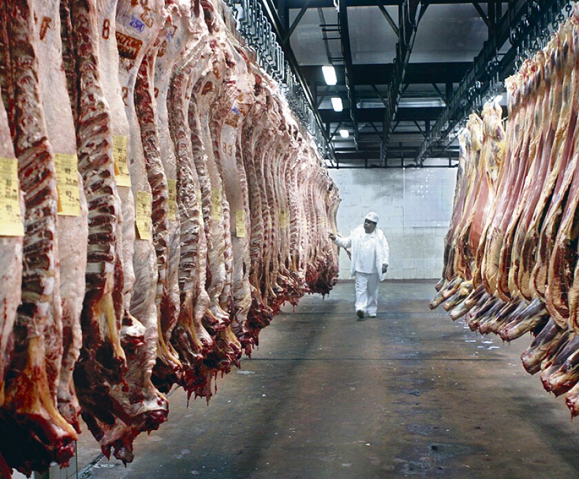 CARNE