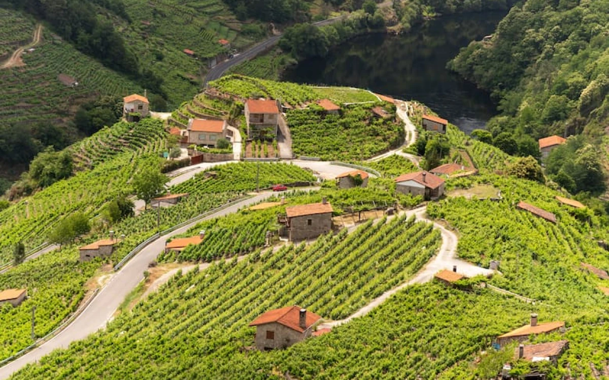 Cinco rutas del vino en Europa para descubrir el terroir entre viñedos históricos y paisajes únicos