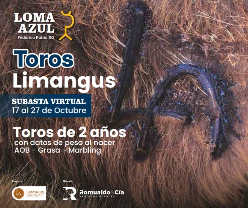 Foto previa Loma Azul Limangus.jpg