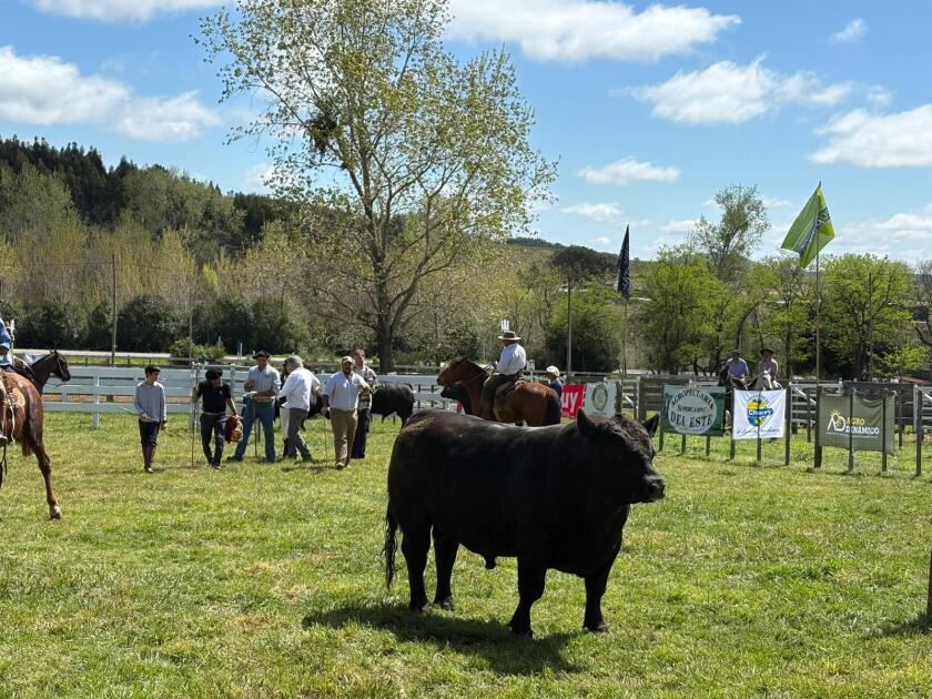 Toro Copa fue el RP 765 de Sierra Vista SA