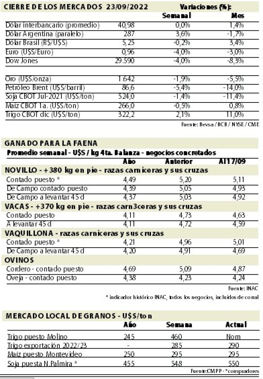 mercados.jpg