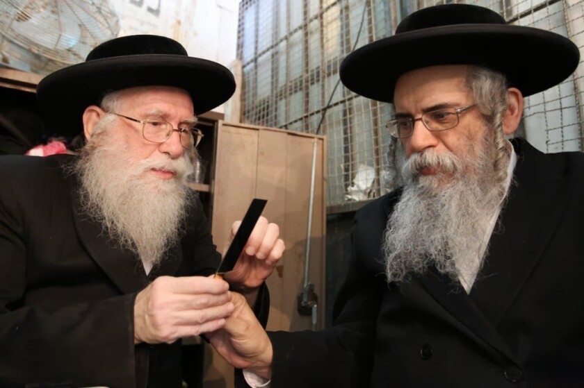 ultra-orthodox-jewish-men-examine-knives-used-for-slaughtering-chickens.jpg