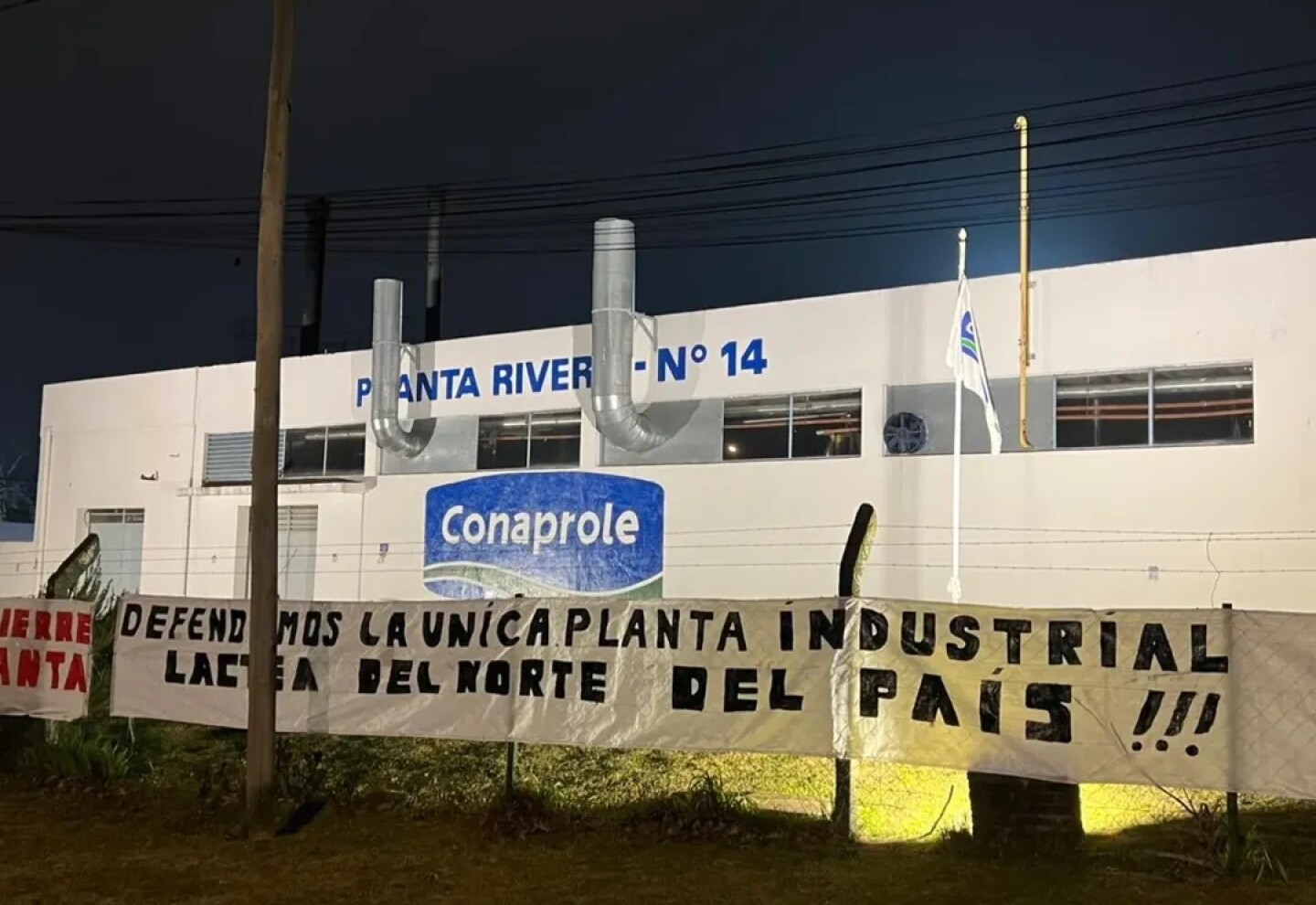 Planta 14 de Rivera.