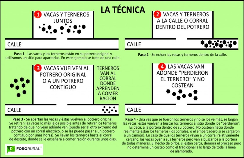 4x7 gráficas