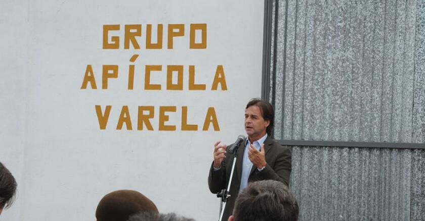 Grupo Apícola Varela