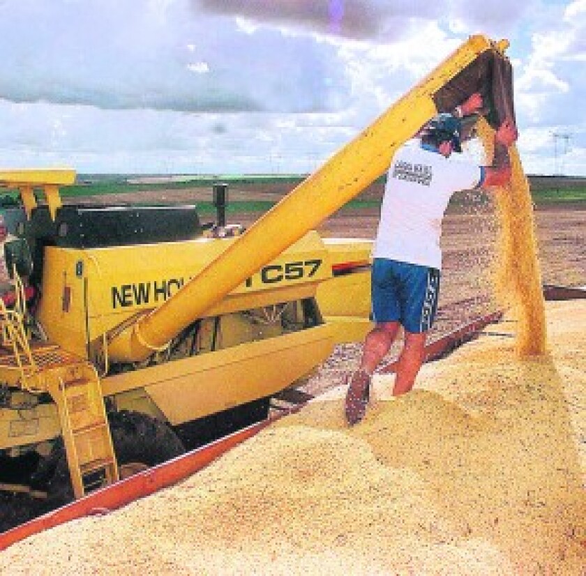CULTIVOS DE SOJA