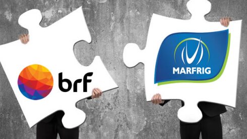 BRF-Marfrig-2024.jpeg