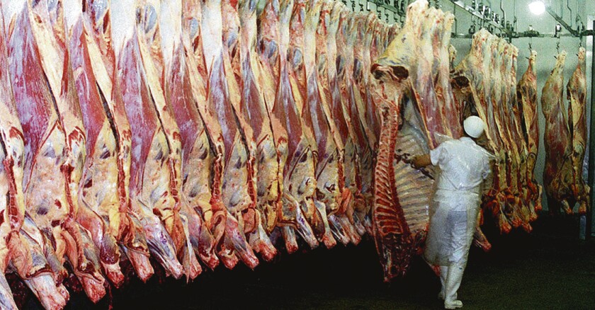 Carne