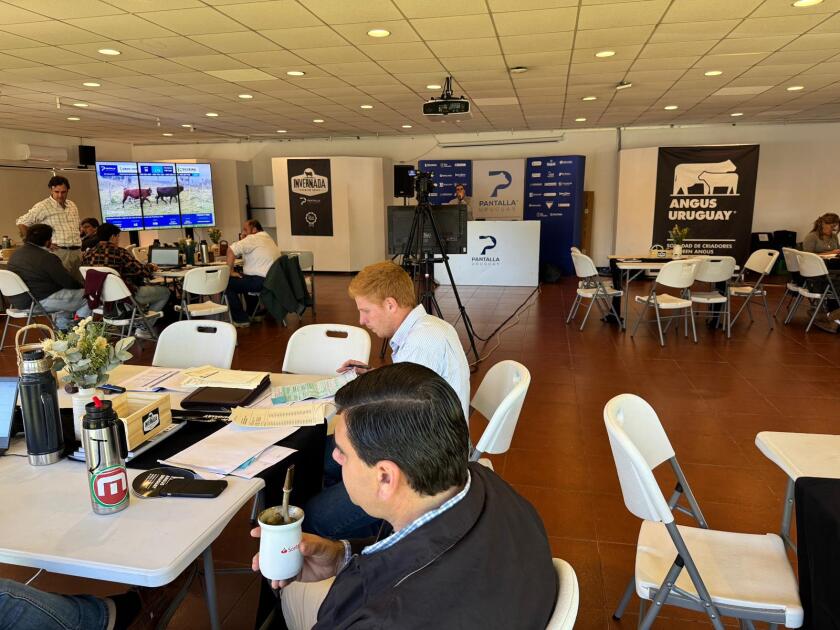 Remate PU 13 de mayo  .jpg