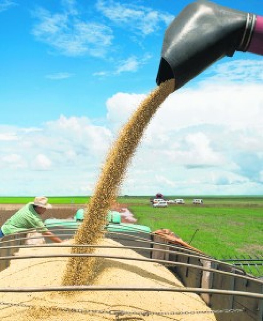 AFP - Cosecha en plantacion de soja , cultivos, cereales - FIN - Agriculture - A combine harvester pours cropped soybeans in a truck, in Campo Novo do Parecis, about 400km northwest from the capital city of Cuiaba, in Mato Grosso, Brazil, on March 27, 2012. AFP PHOTO/Yasuyoshi CHIBA BRAZIL-SOYBEAN-HARVEST - Campo Novo do Parecis - Mato Grosso - BRAZIL - YASUYOSHI CHIBA - YC/ma/se