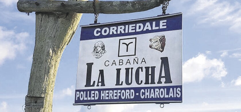 imagen-f4fca2cd-6e89-4e5d-9870-d3d75dc8d21b-12101153.jpg