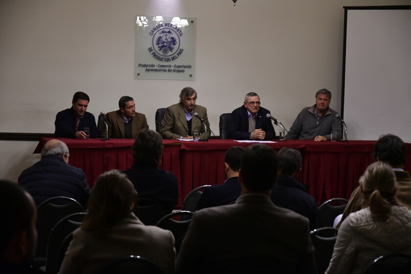 Presentacion
