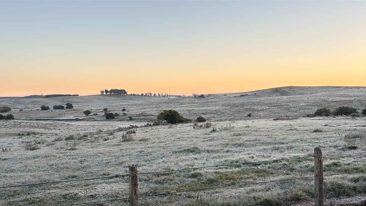 Helada en el campo.