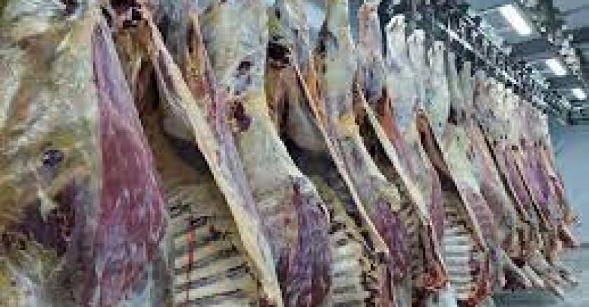 carne brasileña otra.jpg