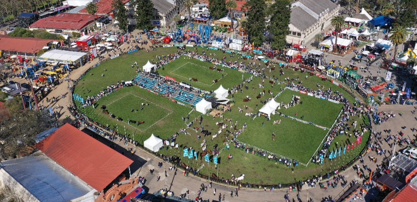 Expo Rural Prado 2026: la cita anual del Uruguay productivo