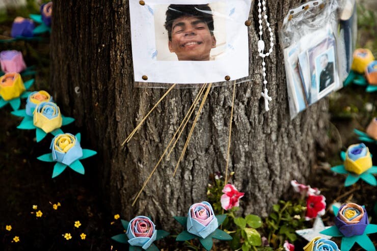 Árbol homenaje a Fernando Báez Sosa. Foto: La Nación/GDA.