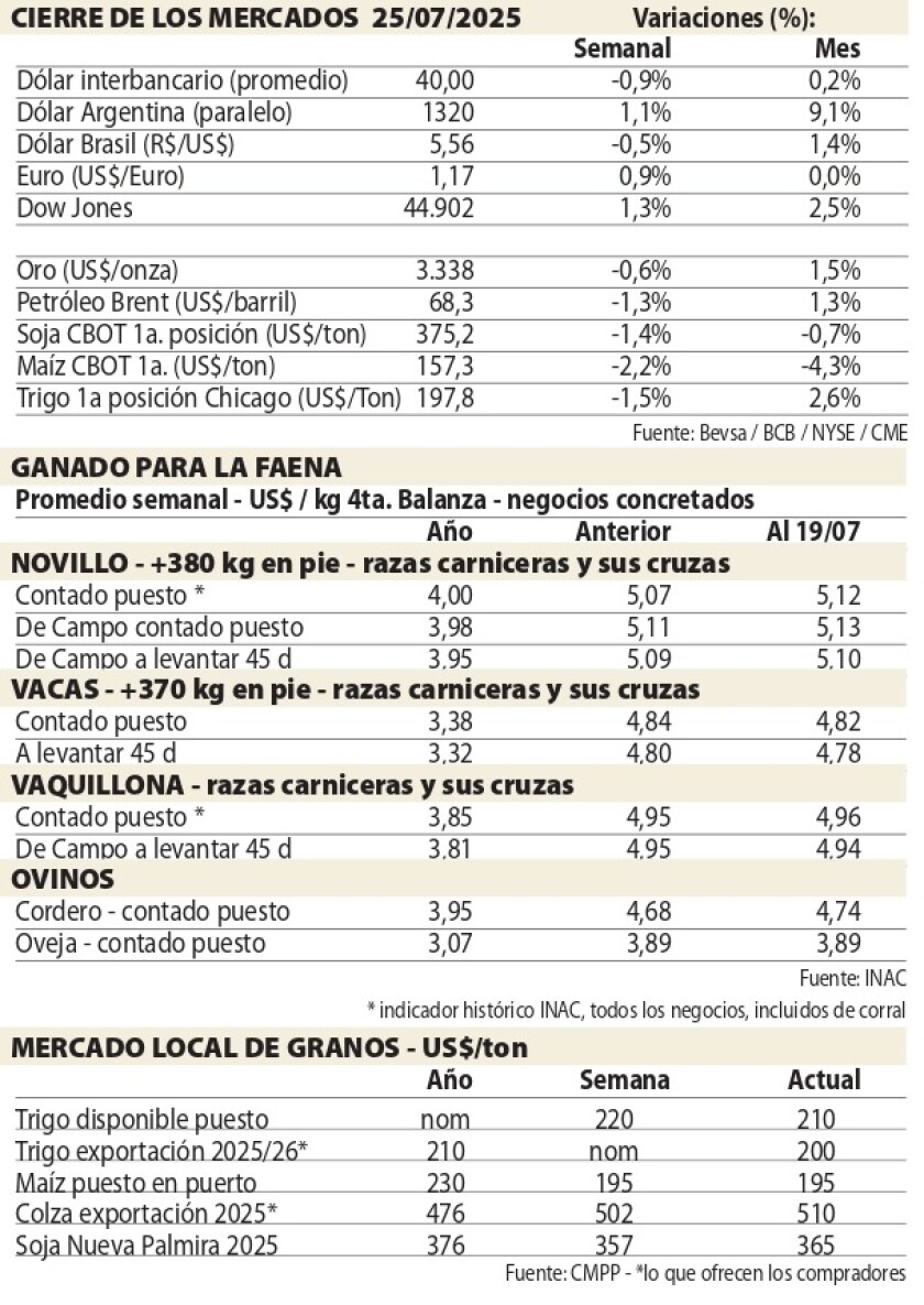1 Cuadros NcL.jpg
