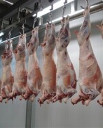 Foto nota 2 Martes.jpg