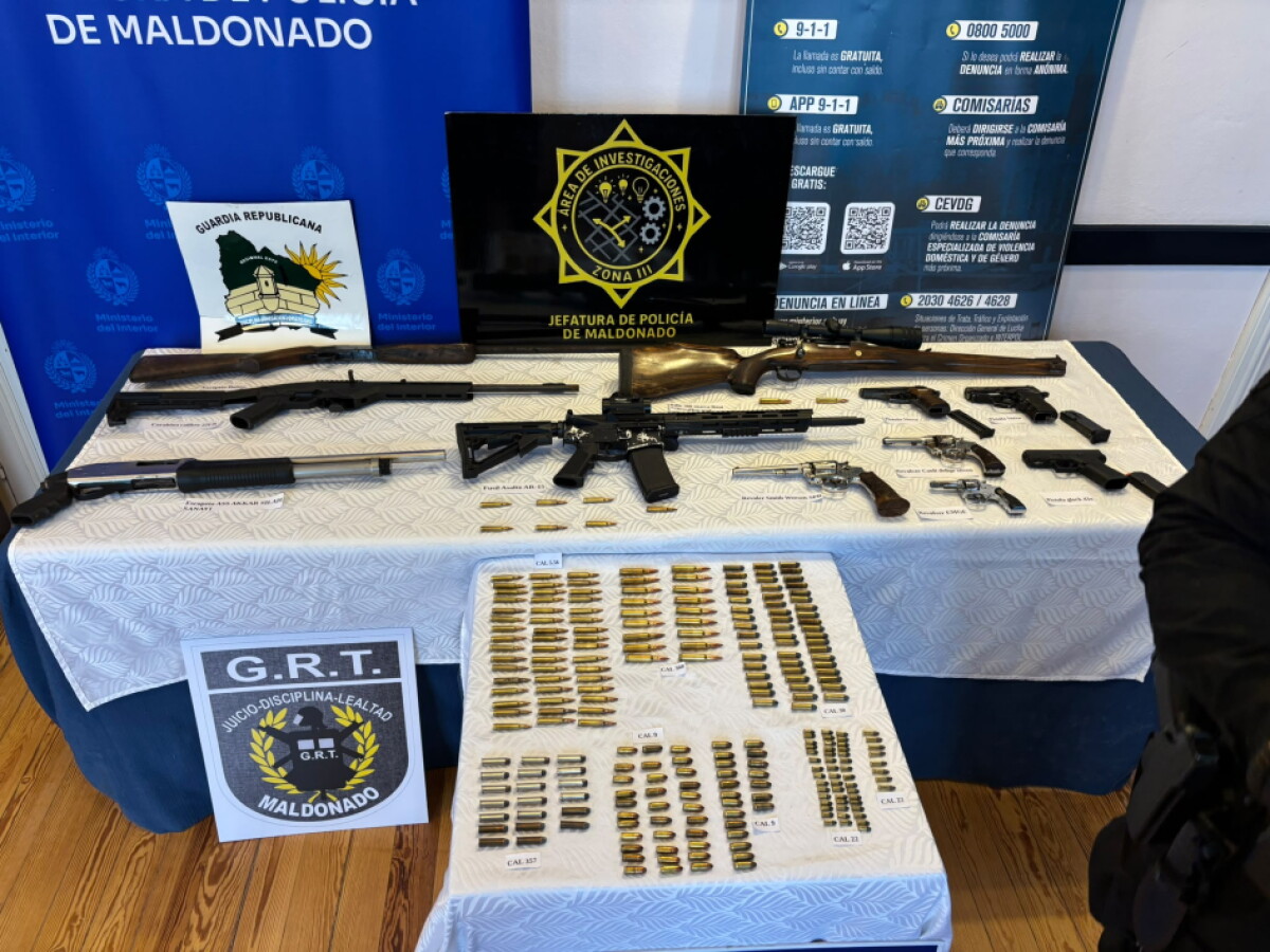 Armas incautadas tras el operativo.
