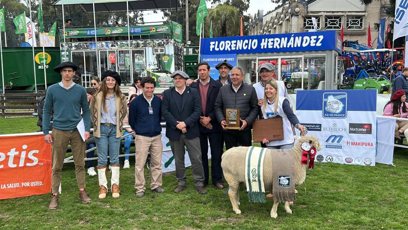 Gran Campeona Hembra PI fue para Las Cañas.jpeg