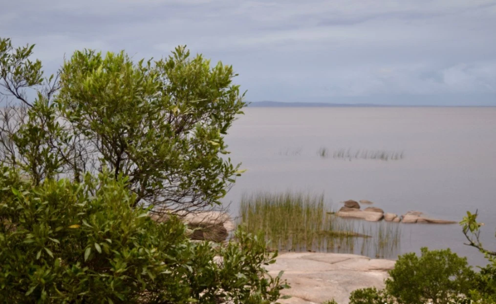 Laguna Rocha