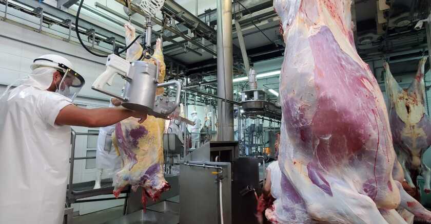 Carne, frigorífico