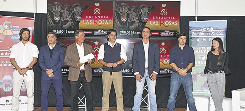 las-rosas.jpg