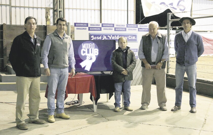 modelo-club.jpg
