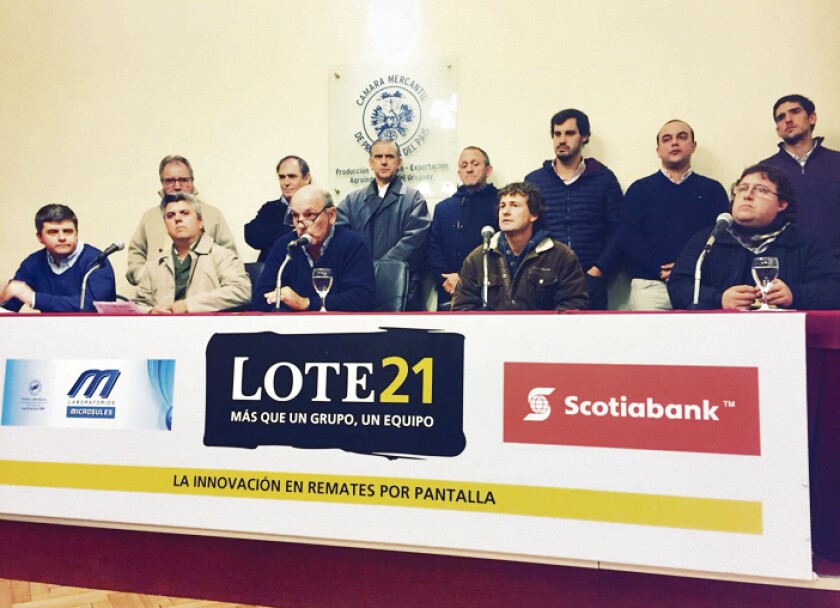 lote-21.jpg